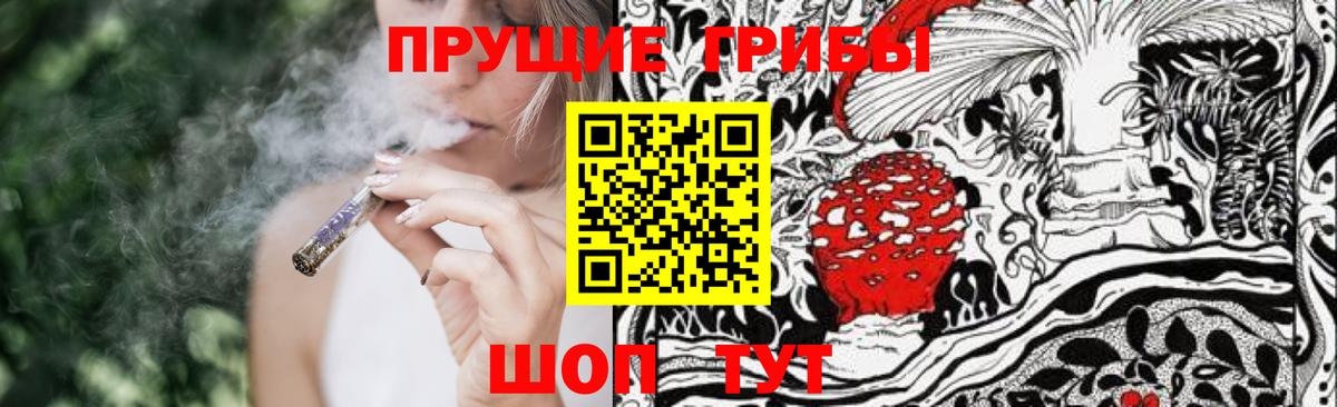 Городец  Псилоцибиновые грибы Magic Shrooms  Псилоцибиновые грибы мицелий  Вход с VPN 