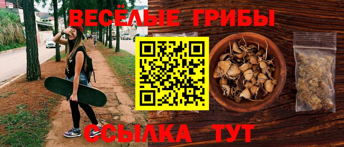 Псилоцибиновые грибы мицелий Городец